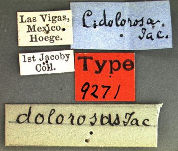 Media type: image; Entomology 9271   Aspect: labels